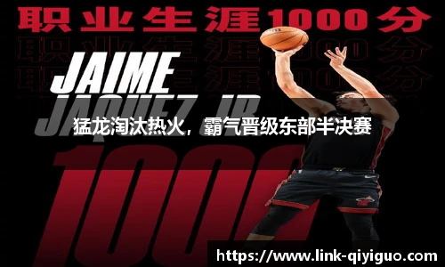 猛龙淘汰热火，霸气晋级东部半决赛