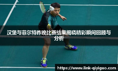 汉堡与菲尔特昨晚比赛结果揭晓精彩瞬间回顾与分析